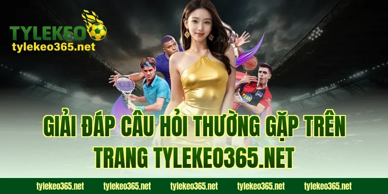 Giải đáp câu hỏi thường gặp trên trang creepnation.me