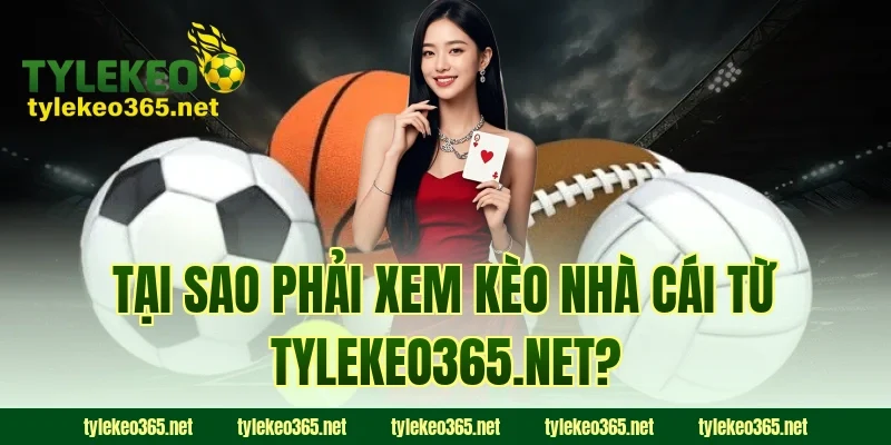 Tại sao phải xem kèo nhà cái từ creepnation.me?